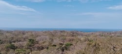 Panoramic Ocean View Farm of 2,4 Hecatreas just 10 minutes to Marbella Beach 